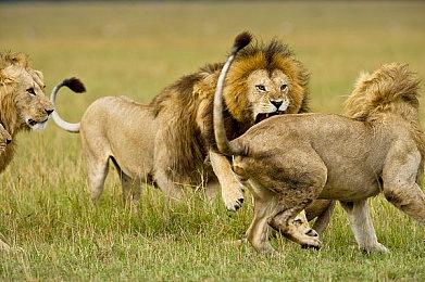 《漫威银河护卫队》Steam新史低 107元